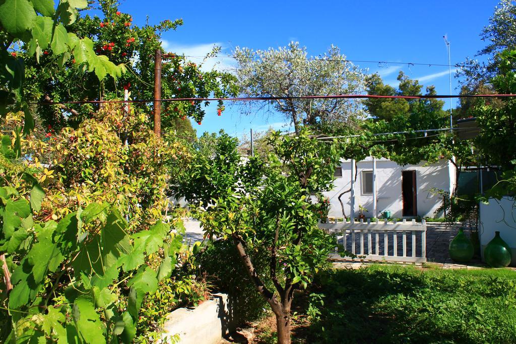 Apartment Kimera Beach *